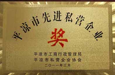 平?jīng)鱿冗M(jìn)私營企業(yè)　