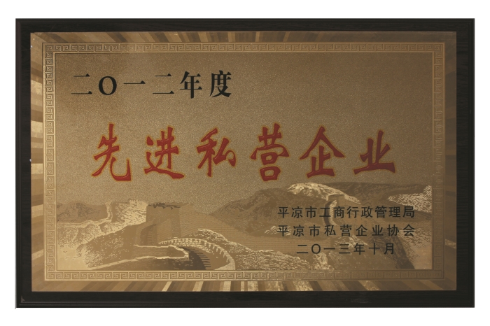 先進(jìn)私營企業(yè)